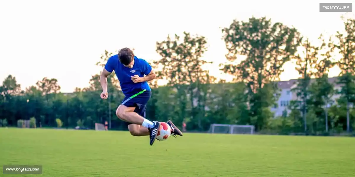 为什么选择我们